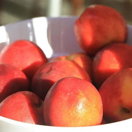 Grand - Medical 5* Pomorie