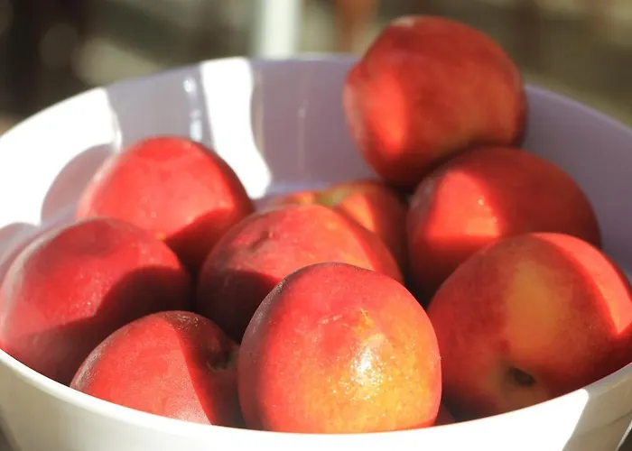 Grand - Medical 5* Pomorie